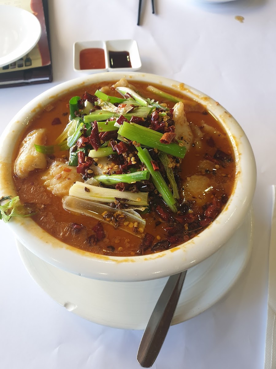 Yum Cha Cuisine Photo 7